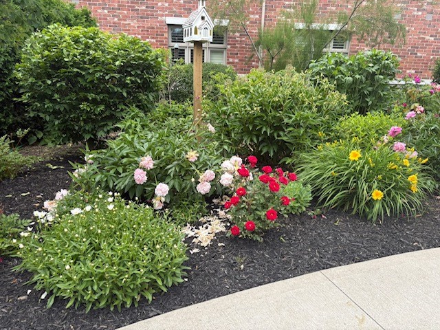 community garden